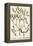 Mistletoe from A Curious Herbal, 1782-Elizabeth Blackwell-Framed Premier Image Canvas