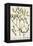 Mistletoe from A Curious Herbal, 1782-Elizabeth Blackwell-Framed Premier Image Canvas