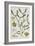 Mistletoe, from 'A Curious Herbal', Published in Nuremburg in 1757-Elizabeth Blackwell-Framed Giclee Print