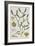 Mistletoe, from 'A Curious Herbal', Published in Nuremburg in 1757-Elizabeth Blackwell-Framed Giclee Print