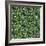 Mistletoe pattern I-Irina Trzaskos Studio-Framed Giclee Print