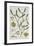 Mistletoe-null-Framed Giclee Print