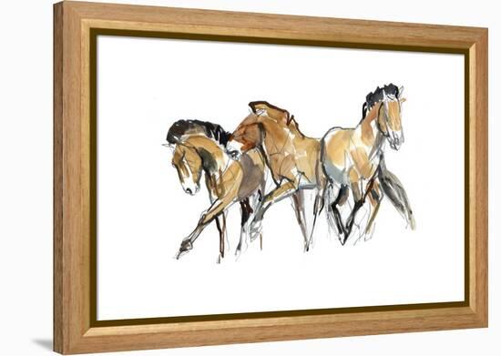 Mistral Three (Przewalski), 2013-Mark Adlington-Framed Premier Image Canvas