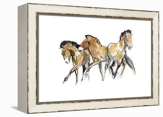 Mistral Three (Przewalski), 2013-Mark Adlington-Framed Premier Image Canvas