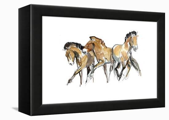 Mistral Three (Przewalski), 2013-Mark Adlington-Framed Premier Image Canvas