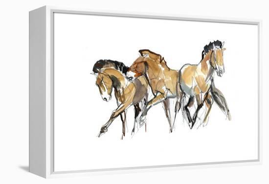 Mistral Three (Przewalski), 2013-Mark Adlington-Framed Premier Image Canvas