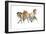 Mistral Three (Przewalski), 2013-Mark Adlington-Framed Giclee Print