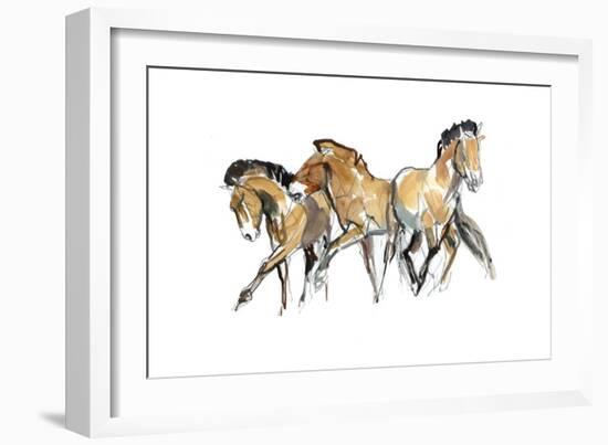 Mistral Three (Przewalski), 2013-Mark Adlington-Framed Giclee Print