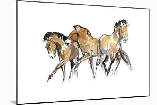 Mistral Three (Przewalski), 2013-Mark Adlington-Mounted Giclee Print