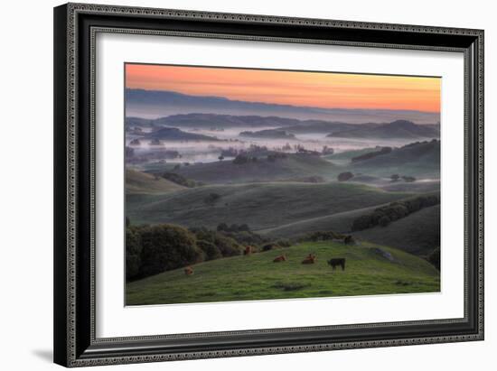 Misty and Foggy Hills Just Before Sunrise, Petaluma, California-Vincent James-Framed Photographic Print