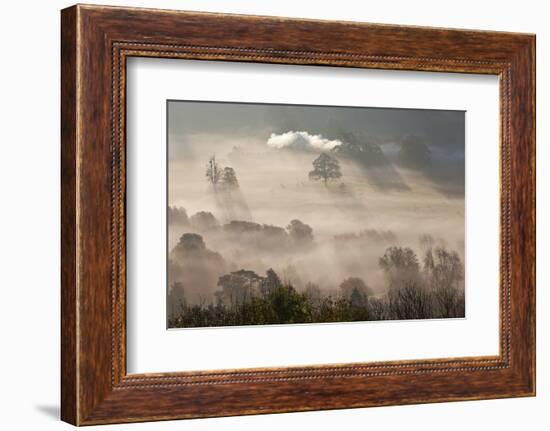 Misty Autumn Morning, Uley, Gloucestershire, England, UK-Peter Adams-Framed Photographic Print