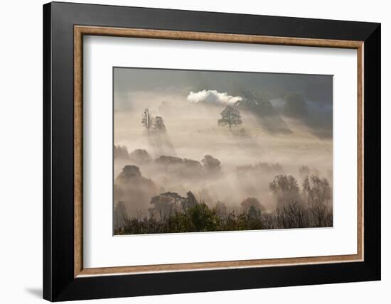 Misty Autumn Morning, Uley, Gloucestershire, England, UK-Peter Adams-Framed Photographic Print