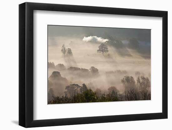 Misty Autumn Morning, Uley, Gloucestershire, England, UK-Peter Adams-Framed Photographic Print