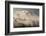 Misty Autumn Morning, Uley, Gloucestershire, England, UK-Peter Adams-Framed Photographic Print