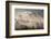 Misty Autumn Morning, Uley, Gloucestershire, England, UK-Peter Adams-Framed Photographic Print