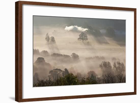 Misty Autumn Morning, Uley, Gloucestershire, England, UK-Peter Adams-Framed Photographic Print