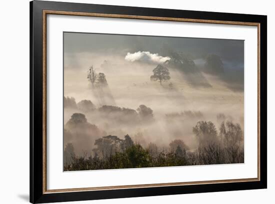 Misty Autumn Morning, Uley, Gloucestershire, England, UK-Peter Adams-Framed Photographic Print