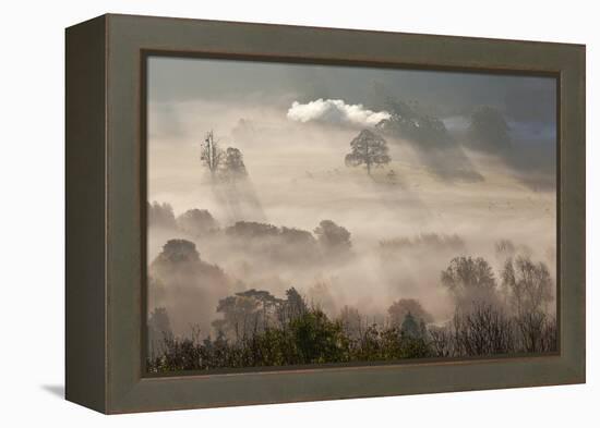 Misty Autumn Morning, Uley, Gloucestershire, England, UK-Peter Adams-Framed Premier Image Canvas