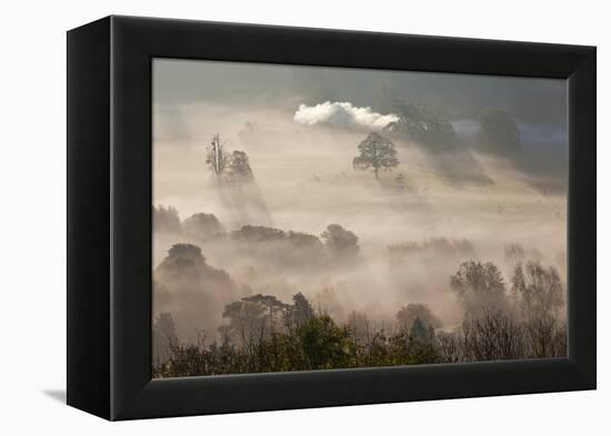 Misty Autumn Morning, Uley, Gloucestershire, England, UK-Peter Adams-Framed Premier Image Canvas