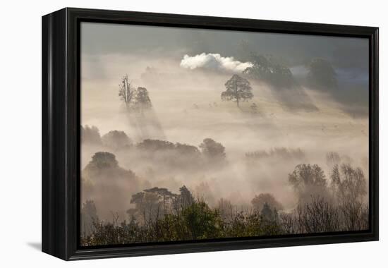 Misty Autumn Morning, Uley, Gloucestershire, England, UK-Peter Adams-Framed Premier Image Canvas