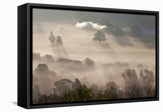 Misty Autumn Morning, Uley, Gloucestershire, England, UK-Peter Adams-Framed Premier Image Canvas