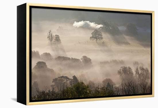 Misty Autumn Morning, Uley, Gloucestershire, England, UK-Peter Adams-Framed Premier Image Canvas