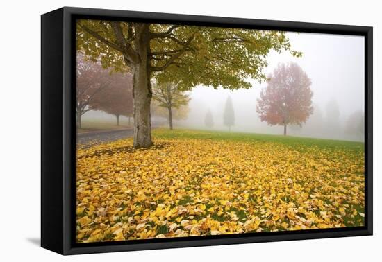 Misty Autumn Trees-Craig Tuttle-Framed Premier Image Canvas