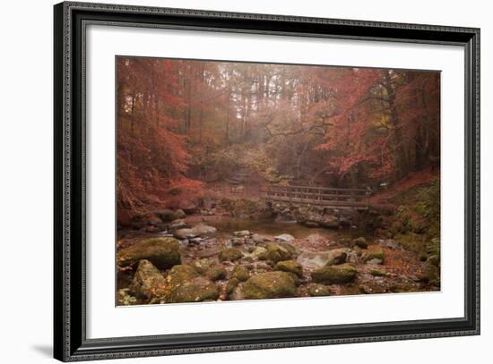 Misty Autumn Valley Near Ambleside, Lake District National Park, Cumbria, England, United Kingdom-Ian Egner-Framed Photographic Print