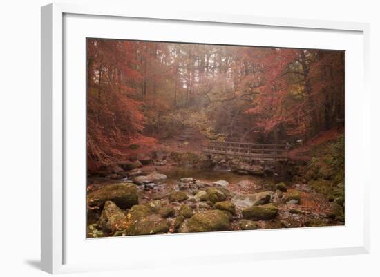 Misty Autumn Valley Near Ambleside, Lake District National Park, Cumbria, England, United Kingdom-Ian Egner-Framed Photographic Print