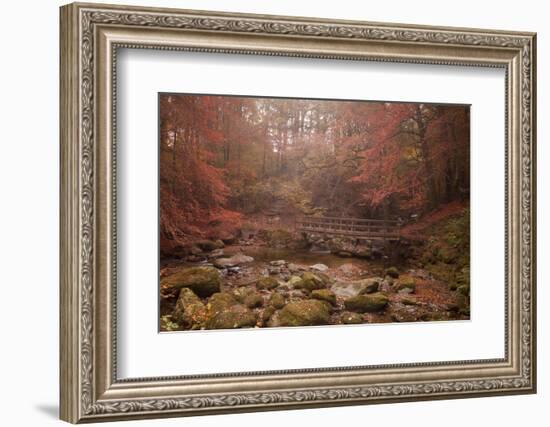 Misty Autumn Valley Near Ambleside, Lake District National Park, Cumbria, England, United Kingdom-Ian Egner-Framed Photographic Print