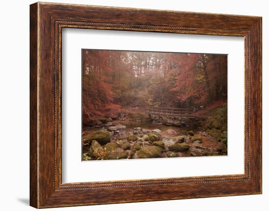 Misty Autumn Valley Near Ambleside, Lake District National Park, Cumbria, England, United Kingdom-Ian Egner-Framed Photographic Print