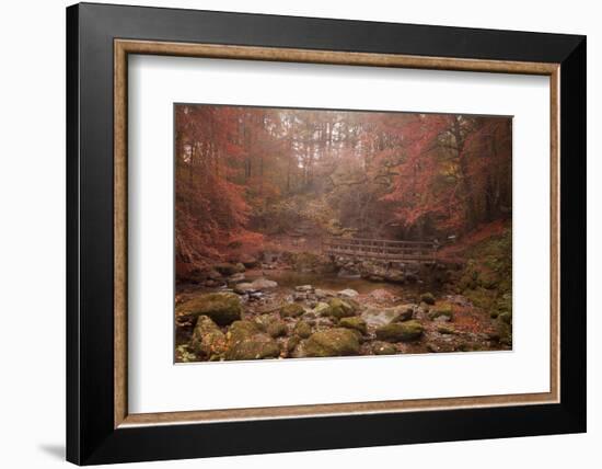 Misty Autumn Valley Near Ambleside, Lake District National Park, Cumbria, England, United Kingdom-Ian Egner-Framed Photographic Print