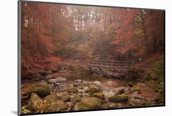 Misty Autumn Valley Near Ambleside, Lake District National Park, Cumbria, England, United Kingdom-Ian Egner-Mounted Photographic Print