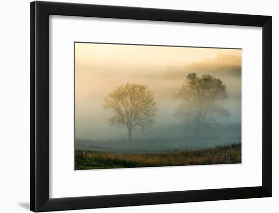 Misty Battlefield, Gettysburg National Military Park, Pennsylvania, USA-Mira-Framed Photographic Print