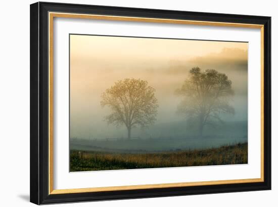 Misty Battlefield, Gettysburg National Military Park, Pennsylvania, USA-Mira-Framed Photographic Print