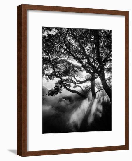 Misty Black-Design Fabrikken-Framed Photographic Print