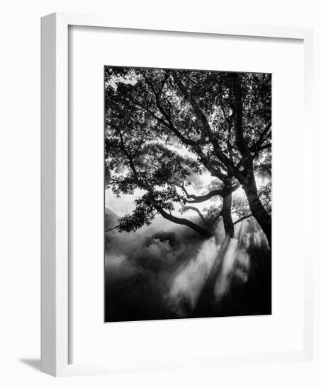 Misty Black-Design Fabrikken-Framed Photographic Print
