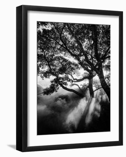 Misty Black-Design Fabrikken-Framed Photographic Print