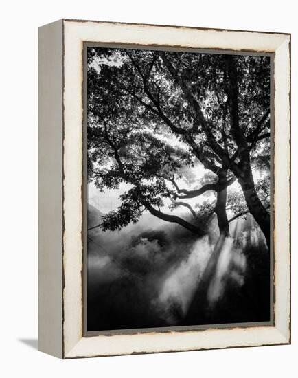 Misty Black-Design Fabrikken-Framed Premier Image Canvas