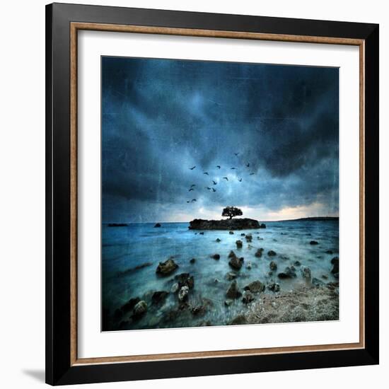 Misty Blue-Philippe Sainte-Laudy-Framed Photographic Print