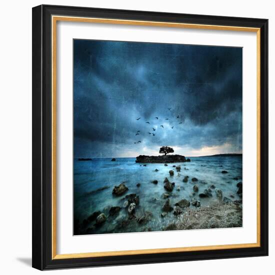 Misty Blue-Philippe Sainte-Laudy-Framed Photographic Print