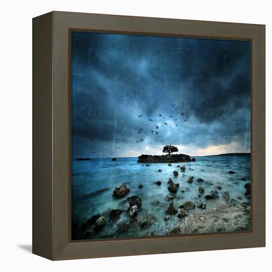 Misty Blue-Philippe Sainte-Laudy-Framed Stretched Canvas