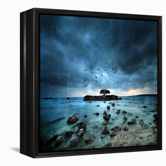 Misty Blue-Philippe Sainte-Laudy-Framed Stretched Canvas