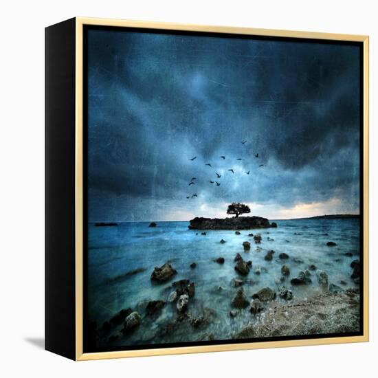 Misty Blue-Philippe Sainte-Laudy-Framed Stretched Canvas