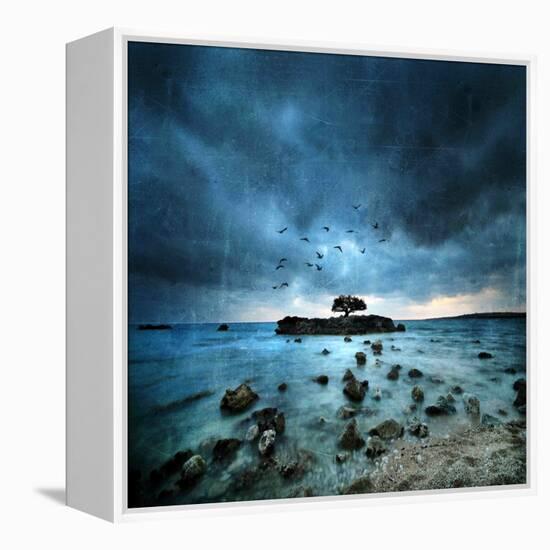 Misty Blue-Philippe Sainte-Laudy-Framed Stretched Canvas