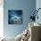 Misty Blue-Philippe Sainte-Laudy-Giclee Print displayed on a wall