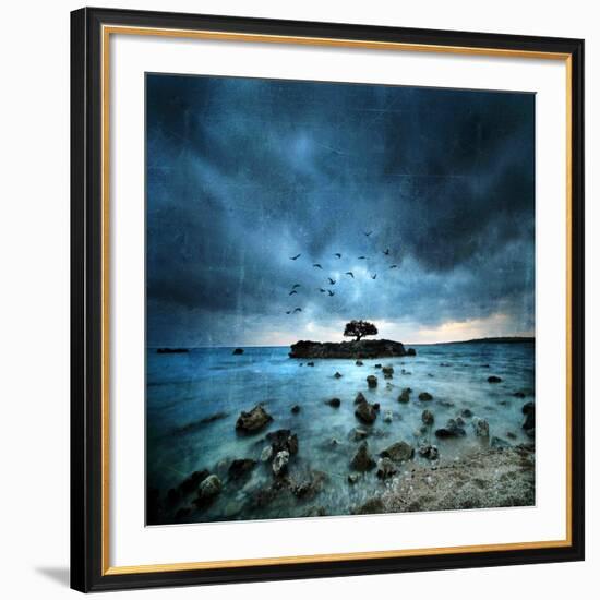 Misty Blue-Philippe Sainte-Laudy-Framed Giclee Print