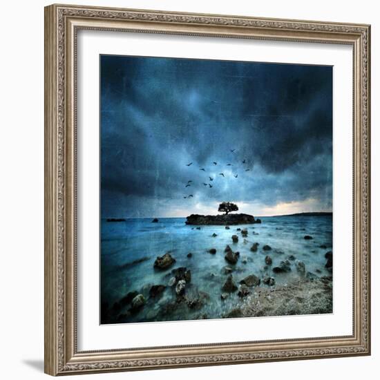 Misty Blue-Philippe Sainte-Laudy-Framed Giclee Print