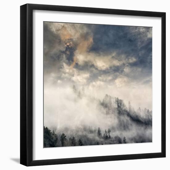 Misty Cloud filled valley from Morton Overlook, Great Smoky Mountains, National Park, Tennessee-Adam Jones-Framed Photographic Print