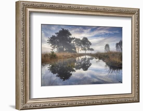 Misty cool Autumn daybreak at Strensall Common Nature Reserve near York, North Yorkshire-John Potter-Framed Photographic Print